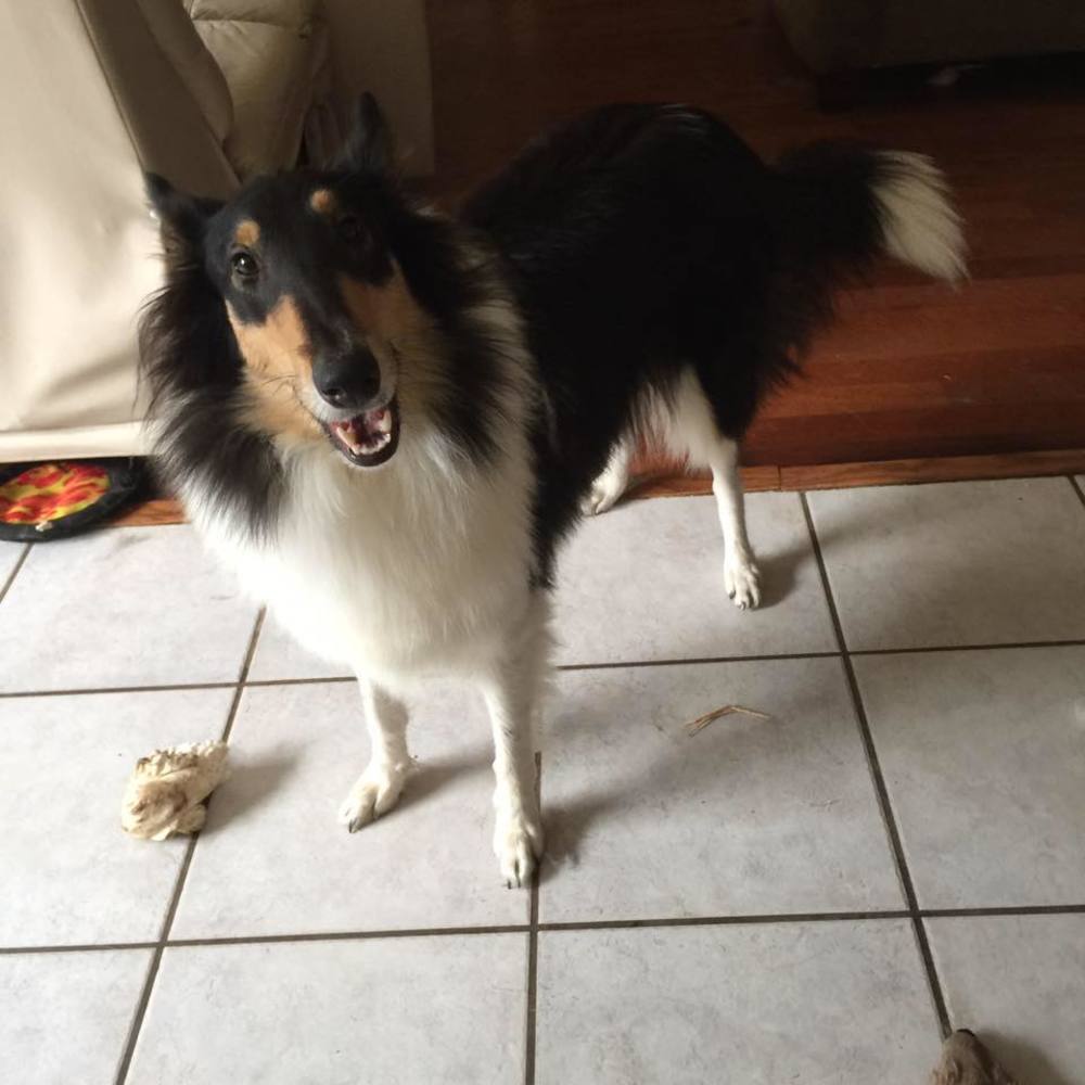 Meet your Posher, Becky